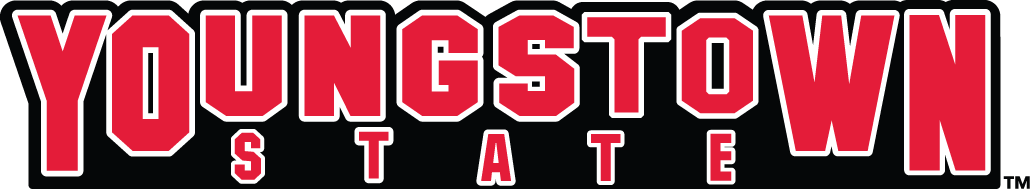 Youngstown State Penguins 1993-Pres Wordmark Logo diy iron on heat transfer